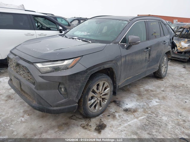 Продаж на аукціоні авто 2024 Toyota Rav4 Xle/xle Premium, vin: 2T3R1RFV2RC425399, номер лоту: 12520036