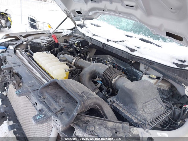 Ford F150 Stx 2024 1FTEW2LP8RKD35310 Image 10