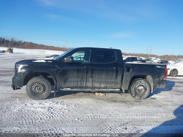 12520102 :رقم المزاد ، 5TFLA5DB9PX128953 vin ، 2023 Toyota Tundra Sr مزاد بيع