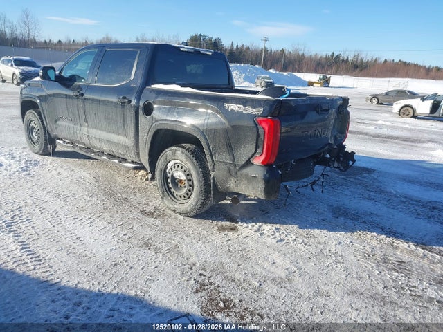 12520102 :رقم المزاد ، 5TFLA5DB9PX128953 vin ، 2023 Toyota Tundra Sr مزاد بيع