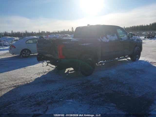 12520102 :رقم المزاد ، 5TFLA5DB9PX128953 vin ، 2023 Toyota Tundra Sr مزاد بيع