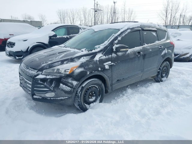 12520217 :رقم المزاد ، 1FMCU9J96DUA19343 vin ، 2013 Ford Escape Titanium مزاد بيع