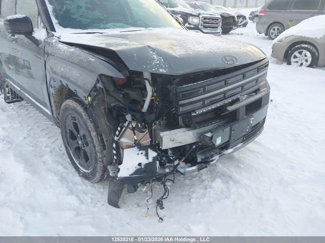 Hyundai Santa Fe Xrt 2025 5NMP3DGL9SH126857 Image 6