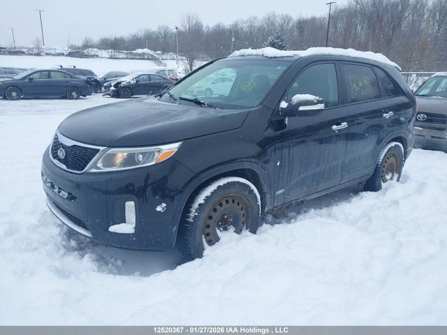 5XYKUDA77FG627099 KIA Sorento