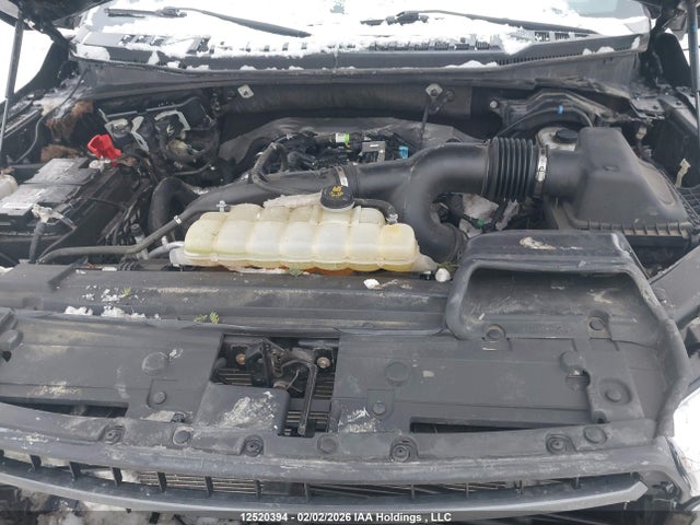 1FTEW1EP2LFB58499 Ford F150 Supercrew