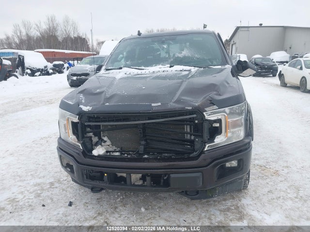 1FTEW1EP2LFB58499 Ford F150 Supercrew