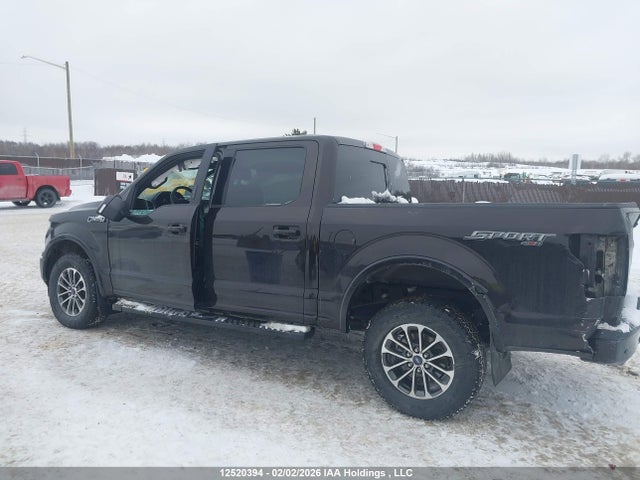 1FTEW1EP2LFB58499 Ford F150 Supercrew