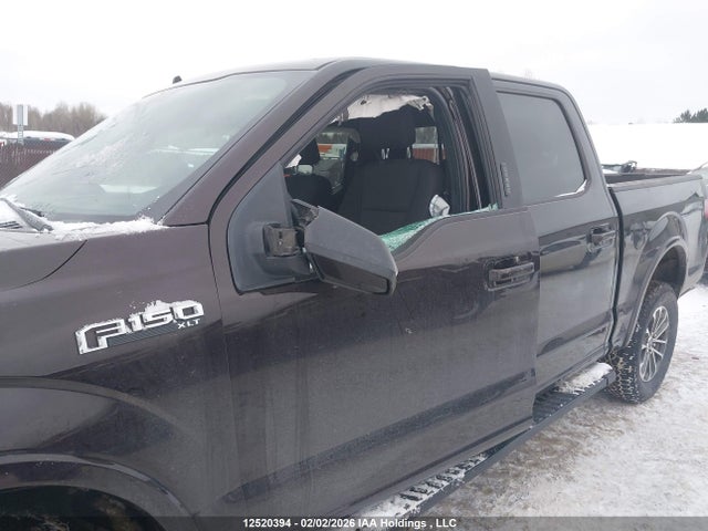 1FTEW1EP2LFB58499 Ford F150 Supercrew
