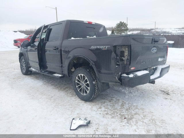 1FTEW1EP2LFB58499 Ford F150 Supercrew