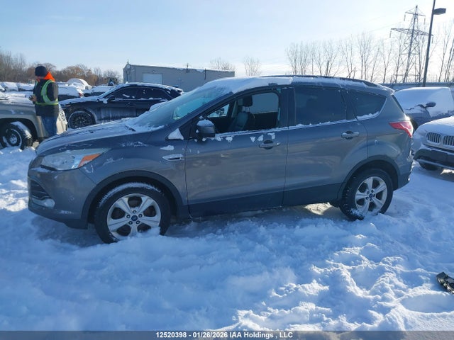 1FMCU0GXXEUE42879 Ford Escape