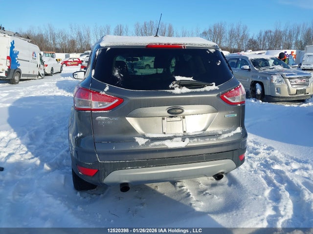 1FMCU0GXXEUE42879 Ford Escape
