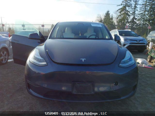 Aukcja sprzedaży 2022 Tesla Model Y, vin: 7SAYGDEE3NF328910, numer aukcji: 12520405