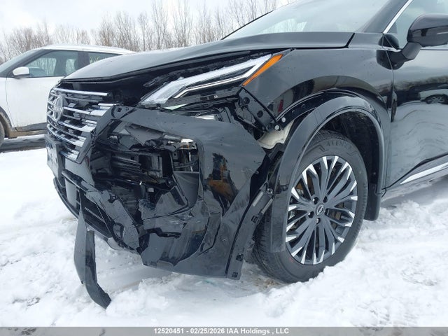 Aukcja sprzedaży 2025 Nissan Rogue Platinum, vin: JN8BT3DD2SW303431, numer aukcji: 12520451