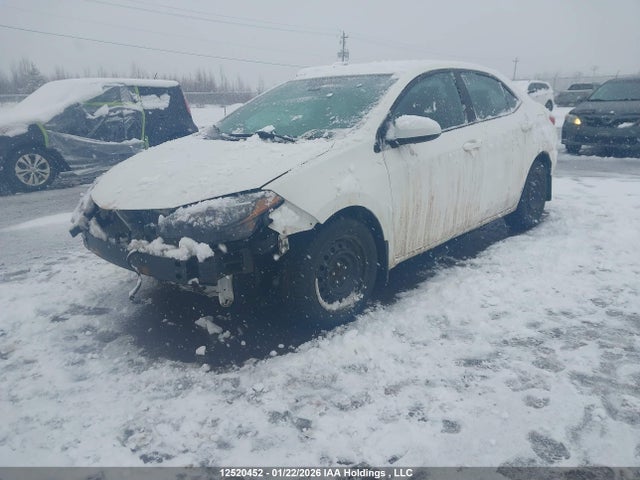 2T1BURHE0JC099864 Toyota Corolla L/le/xle/se/xse