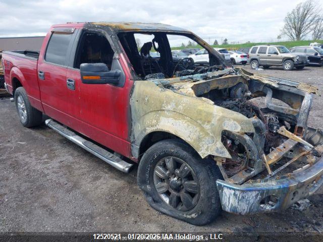 Продаж на аукціоні авто 2011 Ford F-150 Xlt, vin: 1FTFW1EF6BFB26584, номер лоту: 12520521