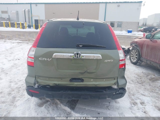 Aukcja sprzedaży 2009 Honda Cr-v Exl, vin: 5J6RE48719L801575, numer aukcji: 12520550