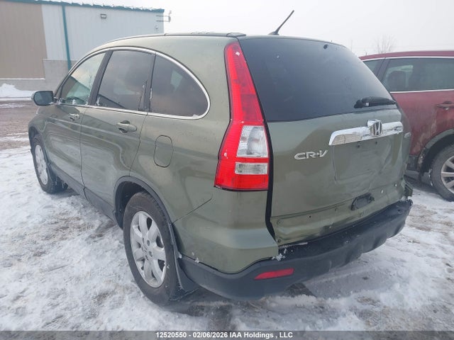 Aukcja sprzedaży 2009 Honda Cr-v Exl, vin: 5J6RE48719L801575, numer aukcji: 12520550