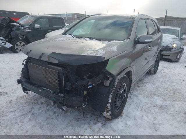 5XYKWDA76FG617352 KIA Sorento