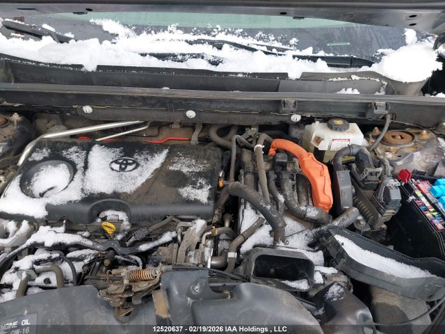 12520637 :رقم المزاد ، JTMEWRFV3KJ017304 vin ، 2019 Toyota Rav4 Xse مزاد بيع