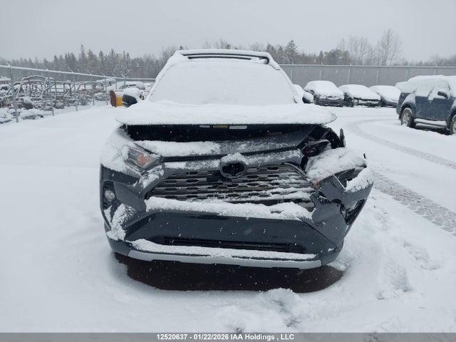 12520637 :رقم المزاد ، JTMEWRFV3KJ017304 vin ، 2019 Toyota Rav4 Xse مزاد بيع