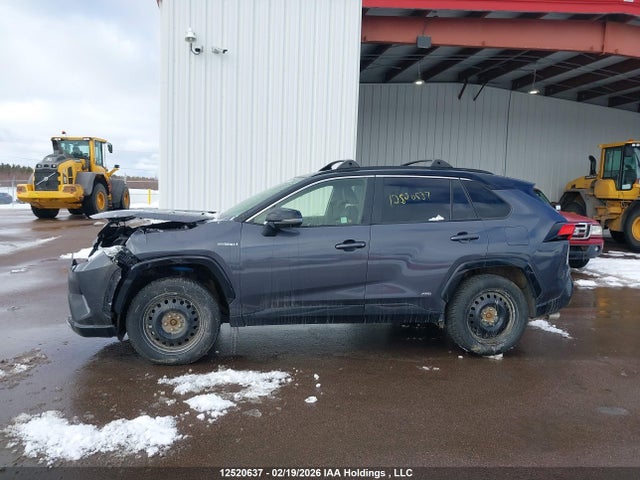 12520637 :رقم المزاد ، JTMEWRFV3KJ017304 vin ، 2019 Toyota Rav4 Xse مزاد بيع