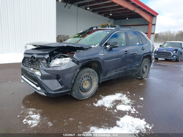 12520637 :رقم المزاد ، JTMEWRFV3KJ017304 vin ، 2019 Toyota Rav4 Xse مزاد بيع