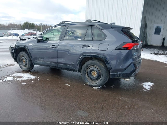 12520637 :رقم المزاد ، JTMEWRFV3KJ017304 vin ، 2019 Toyota Rav4 Xse مزاد بيع
