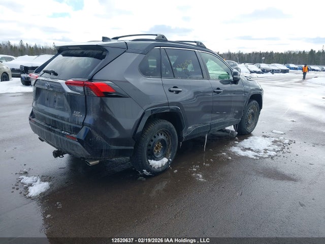 12520637 :رقم المزاد ، JTMEWRFV3KJ017304 vin ، 2019 Toyota Rav4 Xse مزاد بيع