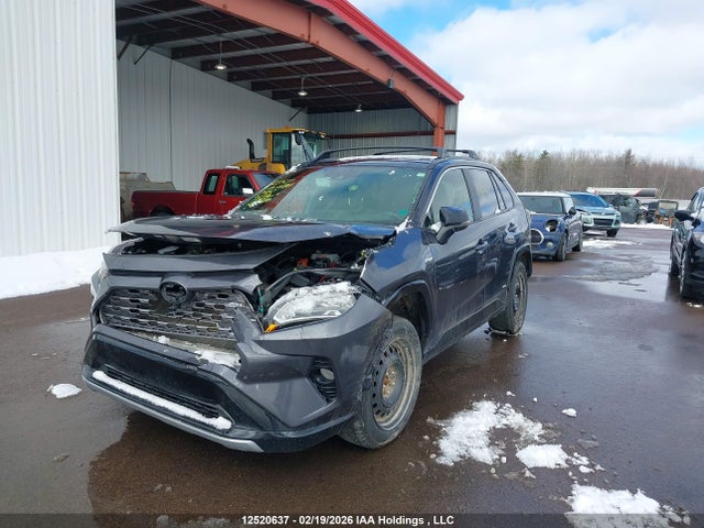 12520637 :رقم المزاد ، JTMEWRFV3KJ017304 vin ، 2019 Toyota Rav4 Xse مزاد بيع