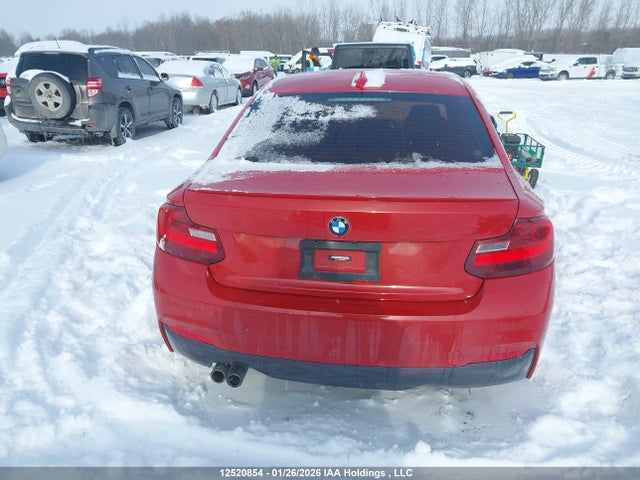 WBA1G9C56GV599699 BMW 228i Xdrive