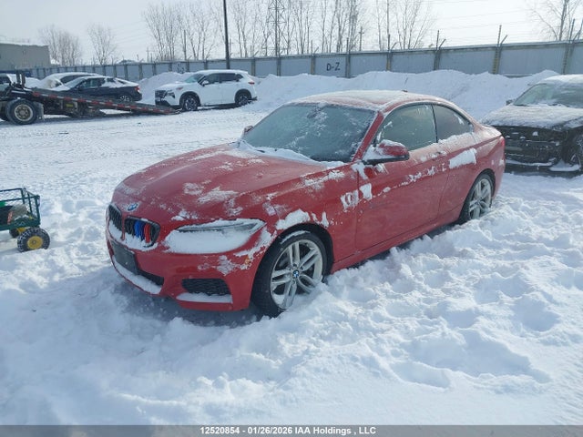 WBA1G9C56GV599699 BMW 228i Xdrive