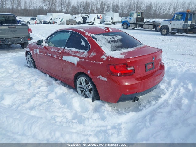 WBA1G9C56GV599699 BMW 228i Xdrive