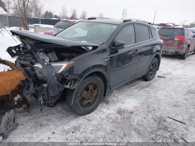 JTMRJREV6HD123125 Toyota RAV4