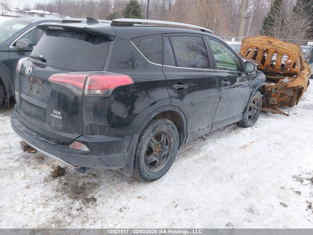 JTMRJREV6HD123125 Toyota RAV4