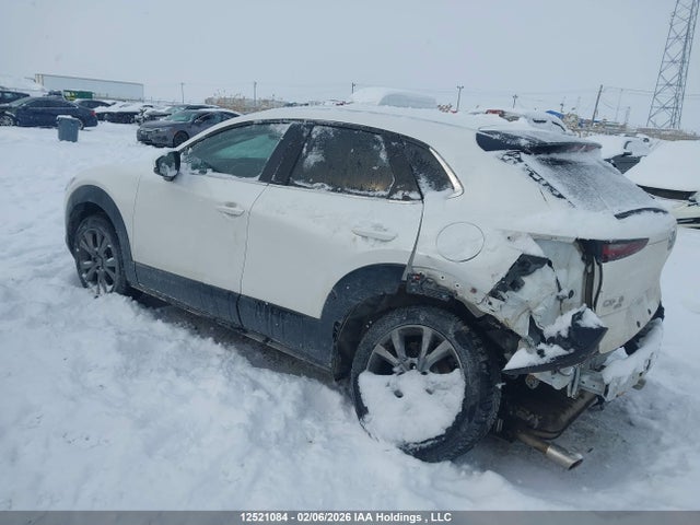 Mazda CX-30 2021 3MVDMBDL7MM207038 Image 3