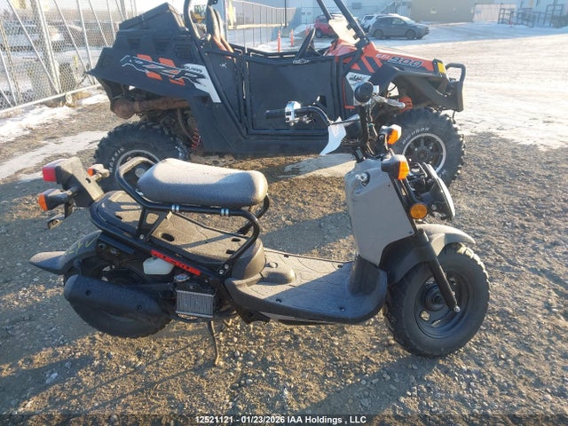 2020 Honda Nps50 მანქანა იყიდება აუქციონზე, vin: JH2AF5824LK700643, აუქციონის ნომერი: 12521121