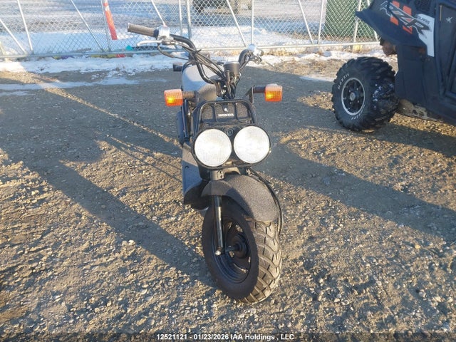 2020 Honda Nps50 მანქანა იყიდება აუქციონზე, vin: JH2AF5824LK700643, აუქციონის ნომერი: 12521121