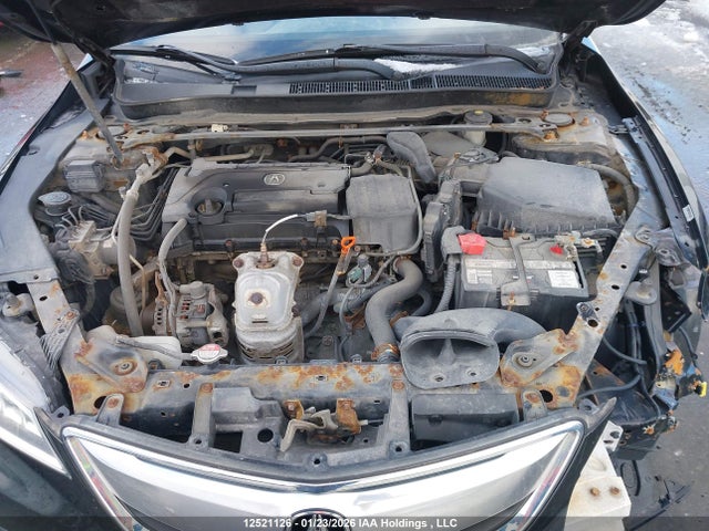 19UUB1F3XGA800152 Acura TLX