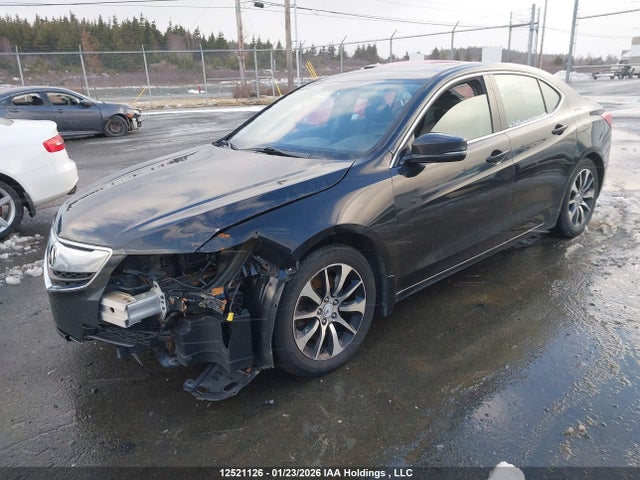 19UUB1F3XGA800152 Acura TLX