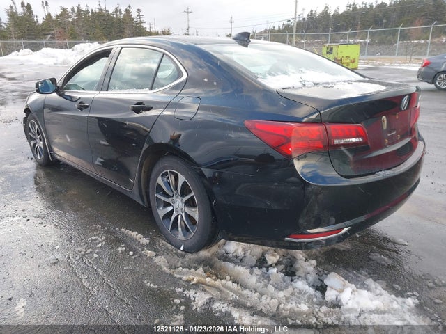 19UUB1F3XGA800152 Acura TLX