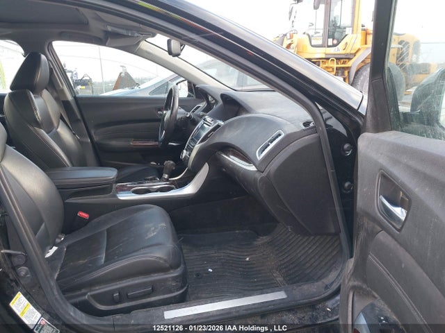 19UUB1F3XGA800152 Acura TLX