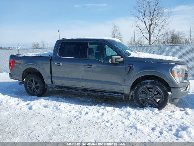 Ford F-150 Xlt 2023 1FTEW1EP9PFB59140 Image 13