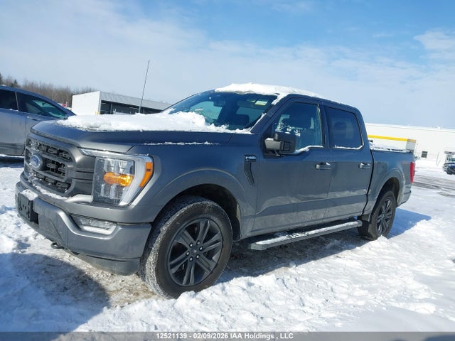 Ford F-150 Xlt 2023 1FTEW1EP9PFB59140 Image 14