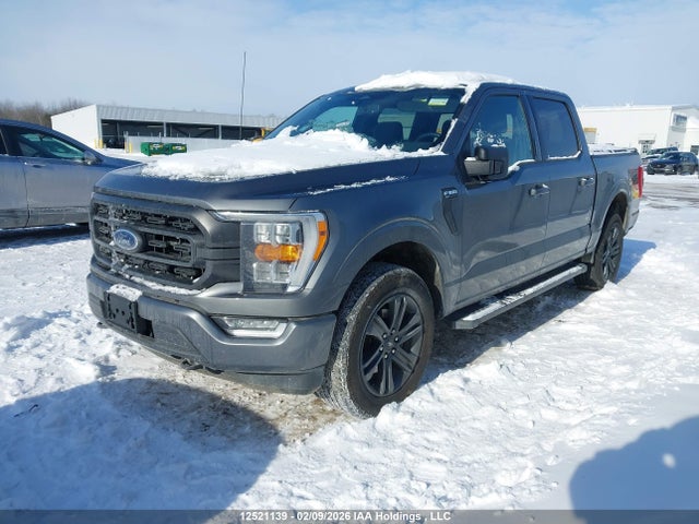Ford F-150 Xlt 2023 1FTEW1EP9PFB59140 Image 2