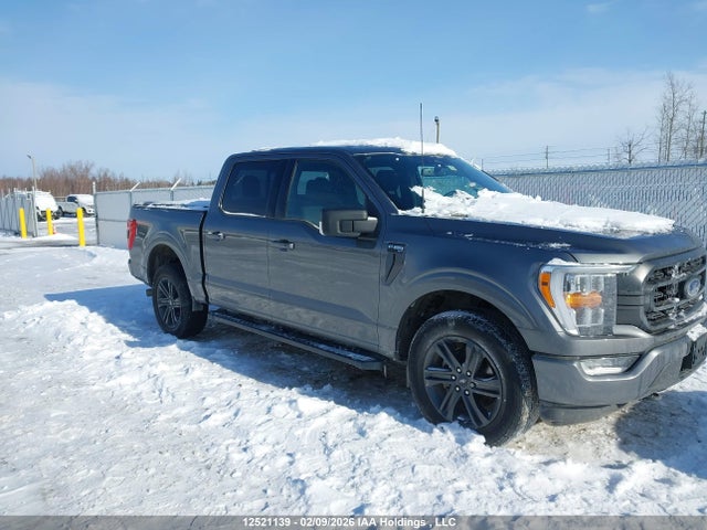 Ford F-150 Xlt 2023 1FTEW1EP9PFB59140 Image 6