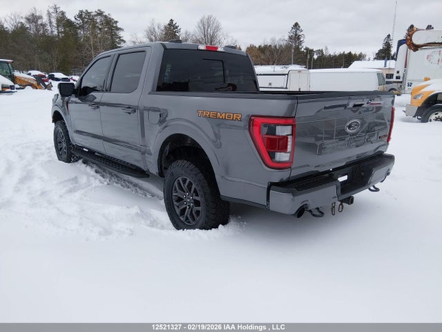 Aukcja sprzedaży 2023 Ford F150 Supercrew, vin: 1FTEW1E86PFD04465, numer aukcji: 12521327