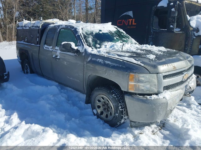 2008 Chevrolet Silverado 1500 Ls/lt/wt მანქანა იყიდება აუქციონზე, vin: 1GCEK19C48Z301297, აუქციონის ნომერი: 12521340