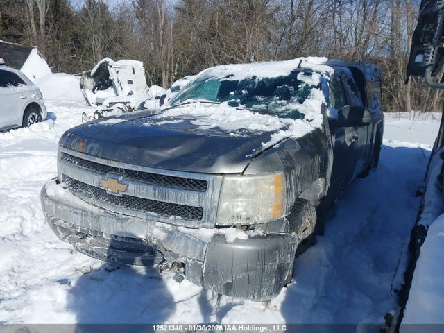 Продажа на аукционе авто 2008 Chevrolet Silverado 1500 Ls/lt/wt, vin: 1GCEK19C48Z301297, номер лота: 12521340
