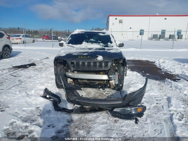 Jeep Cherokee 80th Anniversary Edition 2021 1C4PJMCX9MD117828 Image 11