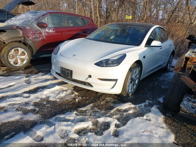 Tesla MODEL 3 2023 LRW3E1FA3PC944126 Image 2